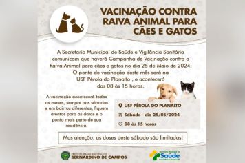 CAMPANHA DE VACINAÇÃO  CONTRA RAIVA ANIMAL PARA CÃES E GATOS 