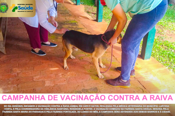 Vacinação contra a raiva: proteja seu pet e a comunidade