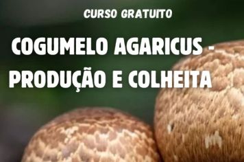 CURSO SOBRE COGUMELOS 